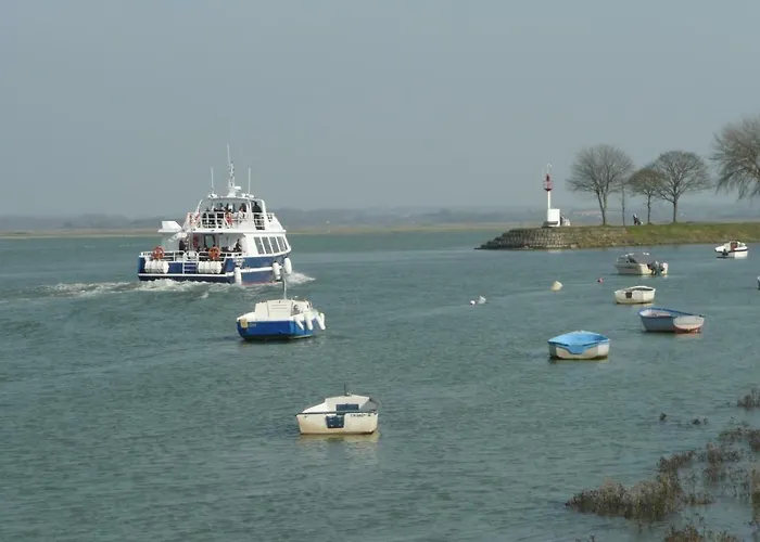 Regard Sur La Baie
