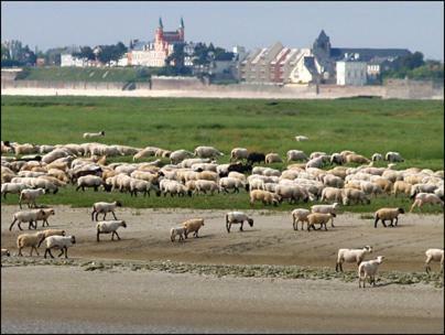 Regard Sur La Baie *